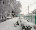 За последние сутки с улиц Казани было вывезено более 13 тыс. тонн снега и смета