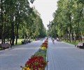 14 и 19 июля в Казани пройдут торги по размещению в парках точек по продаже услуг