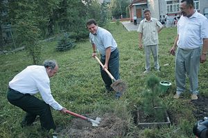 озеленение Казани