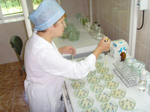 ьаблетки