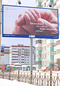 щиты