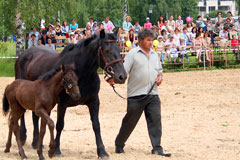 Кони-мои-кони-2005_05